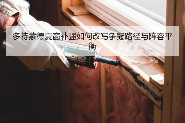 多特蒙德夏窗补强如何改写争冠路径与阵容平衡