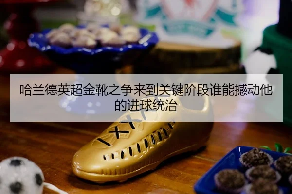 ha-lan-de-ying-chao-jin-xue-zhi-zheng-lai-dao-guan-jian-jie-duan-shui-neng-han-dong-ta-de-jin-qiu-tong-zhi-3-809.jpg